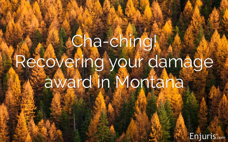 Montana damage awards