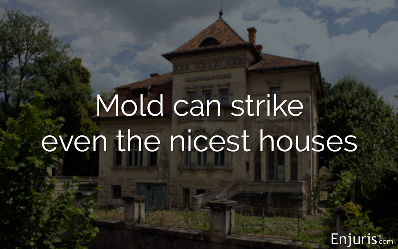 Mold can strike even the nicest houses