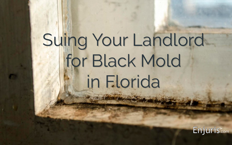 Suing Your Landlord for Black Mold - from Enjuris.com, a personal injury lawyer directory