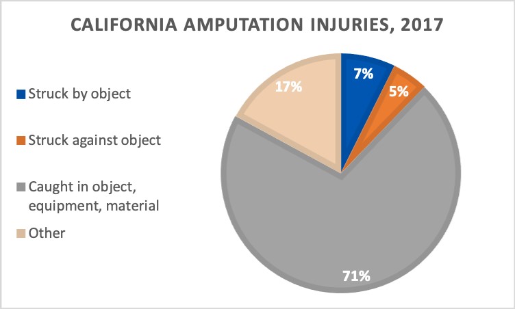 California amputation injury 2007 data