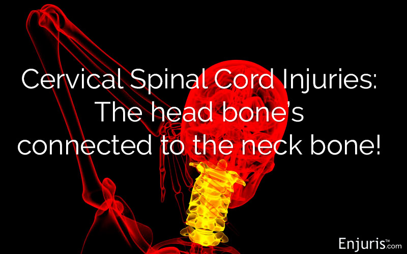 cervical spinal cord, spinal column, injuries