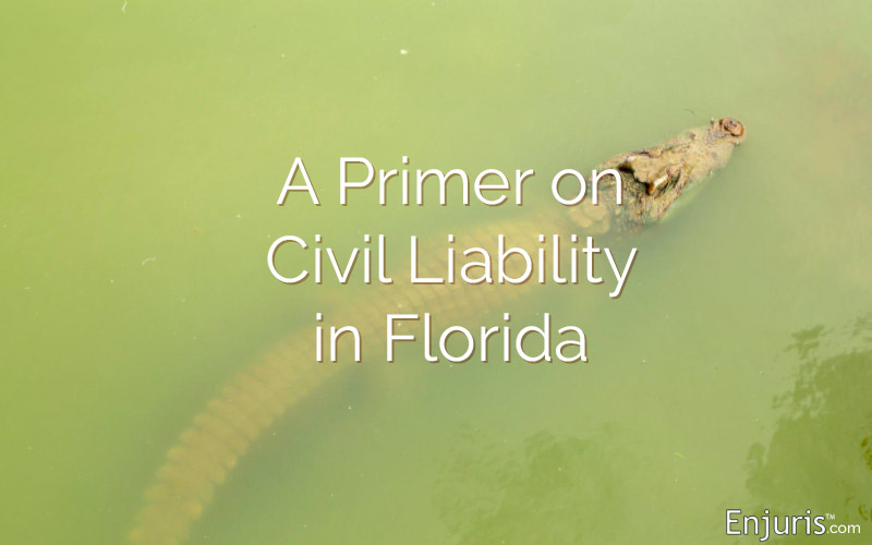 Alligator Florida Civil Liability