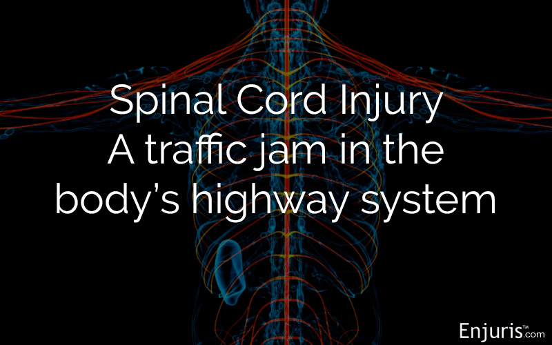 spinal cord, brain, injury, head, spine, accident, head, internal, damage
