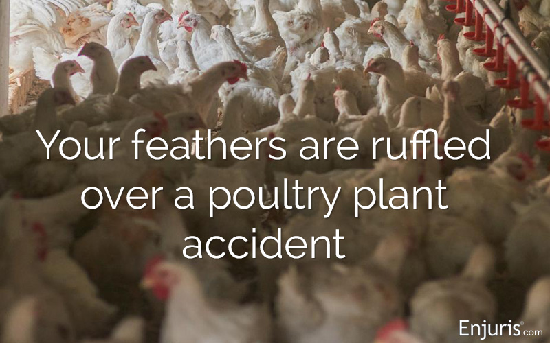 Poultry plant injuries