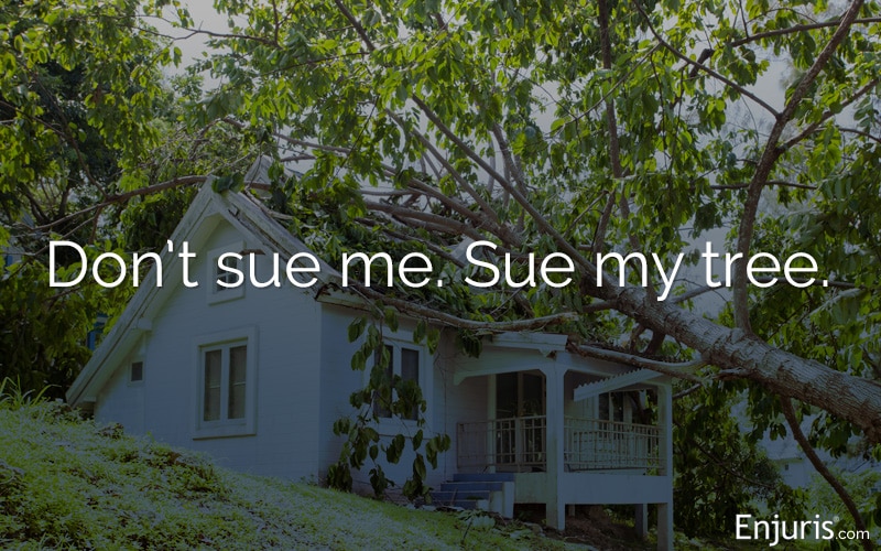 My Tree Fell on my Neighbor's Property: Who Pays?