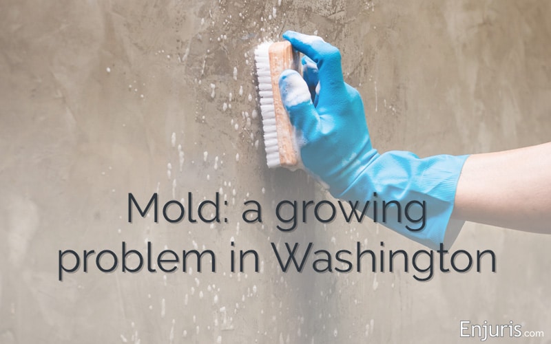 Suing a landlord for mold exposure in Washington