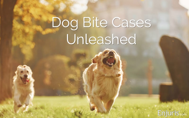 5 largest dog bite settlements