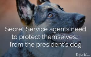 White house dog bites agents