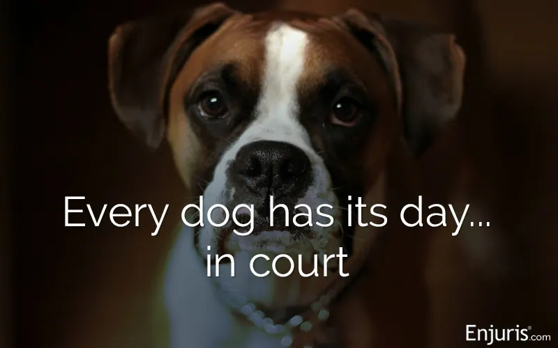 Washington dog bite lawsuits